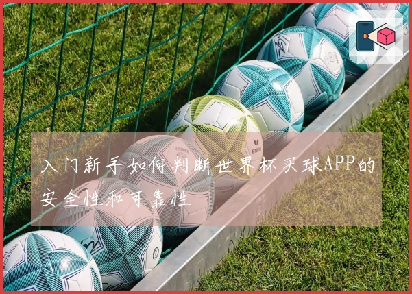入门新手如何判断世界杯买球APP的安全性和可靠性