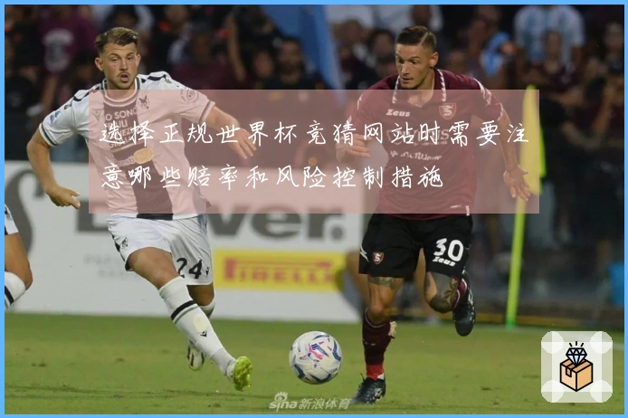 选择正规世界杯竞猜网站时需要注意哪些赔率和风险控制措施