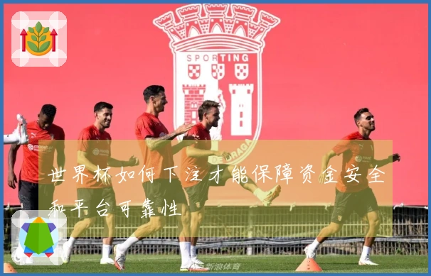 世界杯如何下注才能保障资金安全和平台可靠性