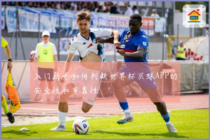 入门新手如何判断世界杯买球APP的安全性和可靠性